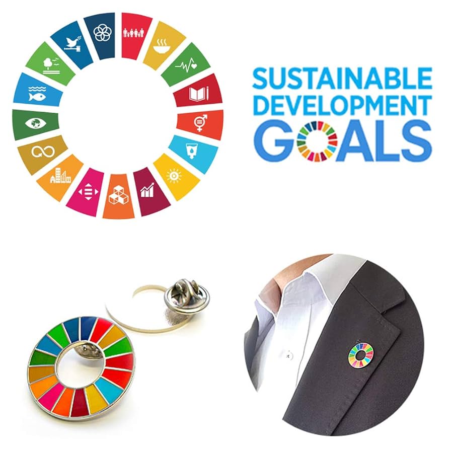 SDGs ピンバッジ　17色フルセット　限定ポストカード　冊子付き SDGs ピンバッジ 17色フルセット 限定ポストカード 冊子付き